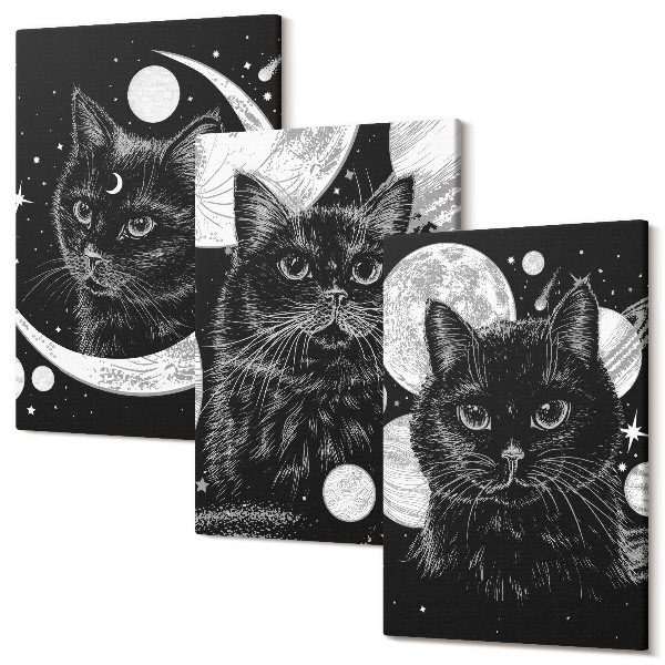 Sada 3 obrazov Čierne mačky na pozadí Mesiaca a planét vo vesmíre