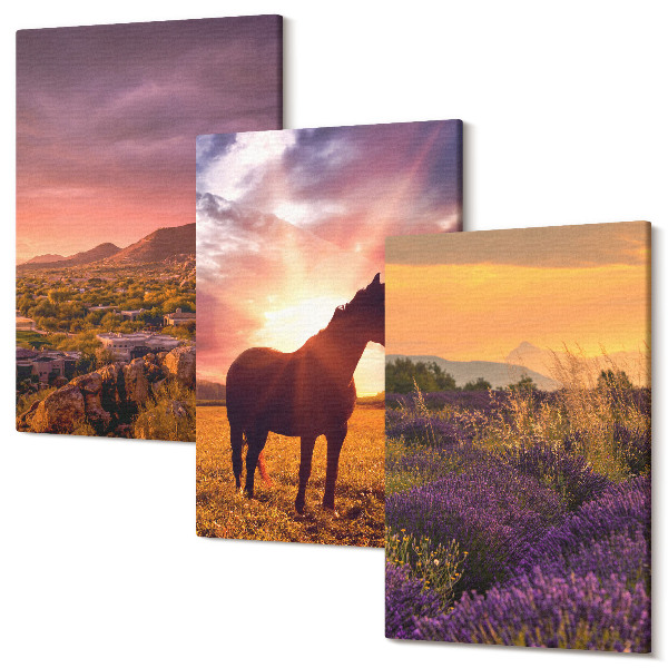 Sada 3 obrazov Horská krajina s koňmi a levanduľovými poliami