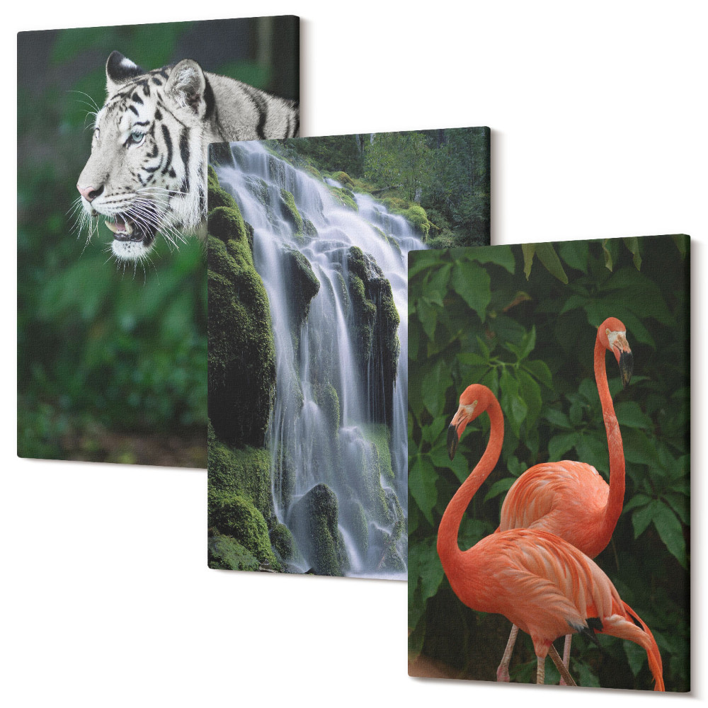 Sada 3 obrazov Tigrí vodopád a ružové plameniaky v prírode