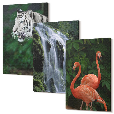 Sada 3 obrazov Tigrí vodopád a ružové plameniaky v prírode