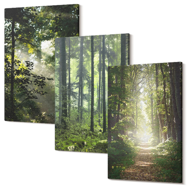 Sada obrazov na stenu triptych Zelené lesy s lúčmi svetla a lesná cesta