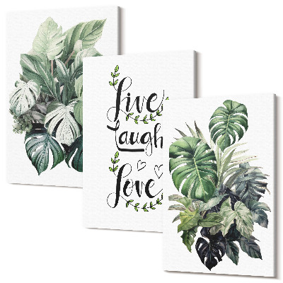 Sada 3 obrazov Listnaté rastliny so slovami žiť, smiať sa, milovať