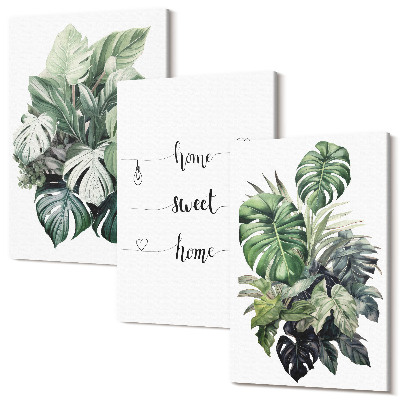 Sada obrazov triptych Akvarel Monstera Leaves Home Sweet Home