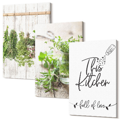 Sada 3 obrazov Motív kuchyne s nápisom sušené bylinky