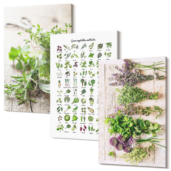 Sada 3 obrazov Sušené rastliny na zoznam kuchynských bylín