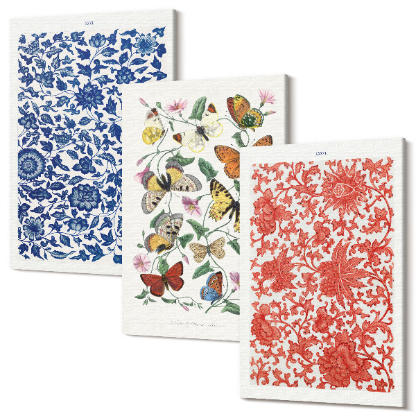 Sada obrazov na stenu triptych Vintage kvety motýle a ozdoby plagáty