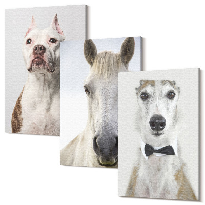 Sada obrazov triptych Zaujímavé portréty psov a koní v elegantnom štýle