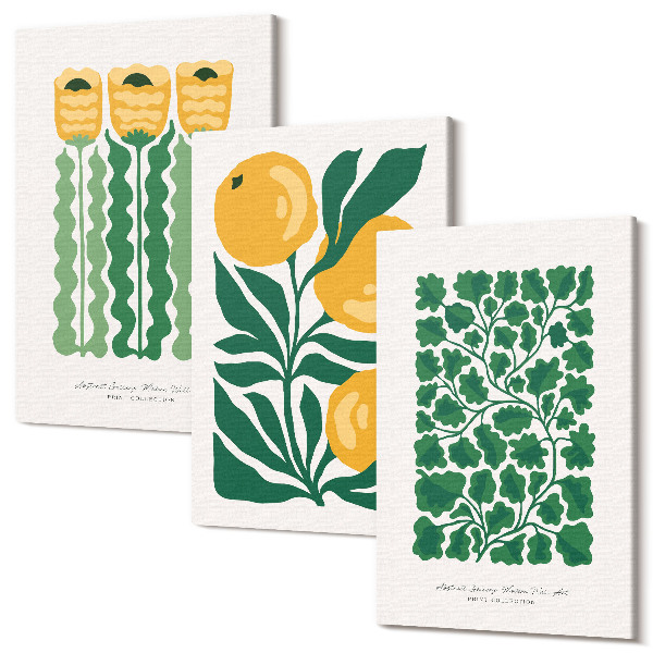 Sada obrazov na stenu triptych Rastlinné vzory s plagátmi kvetov a listov