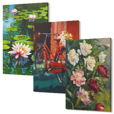 Sada 3 obrazov Ľalie na vode, bicykel v záhrade, farebné kvety