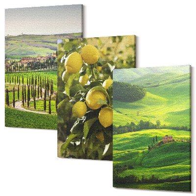 Sada obrazov na stenu triptych Talianska krajina s citrusovými stromami a zelenými kopcami