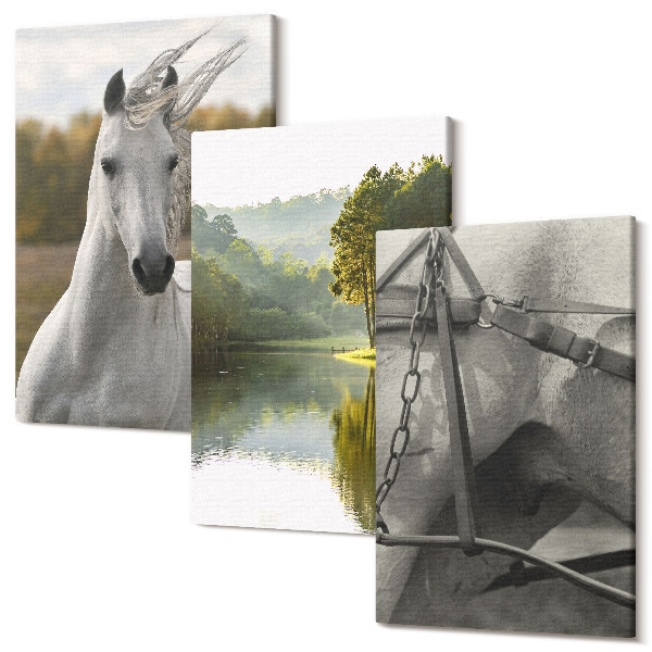 Sada obrazov triptych Biele kone pri rieke prírodná krajina