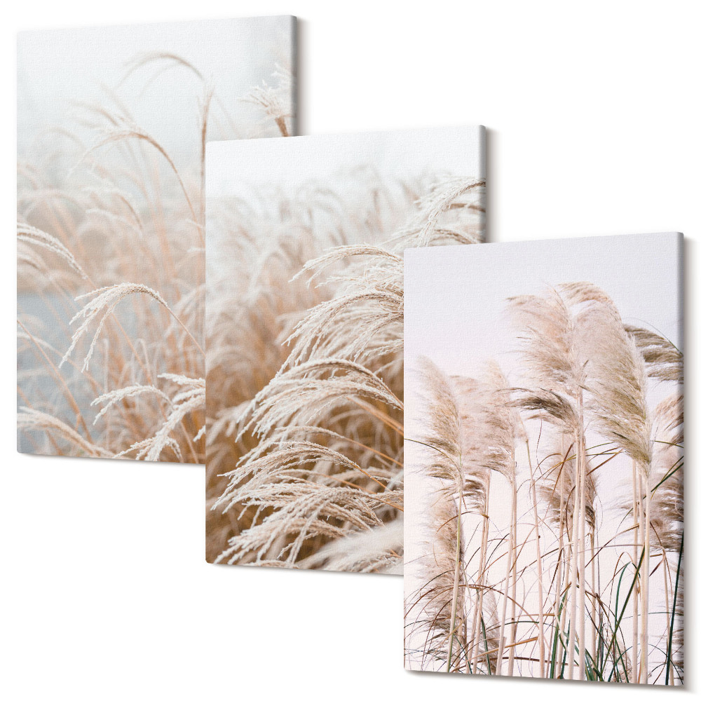 Sada obrazov triptych Polia trávy v jemných odtieňoch hnedej a béžovej