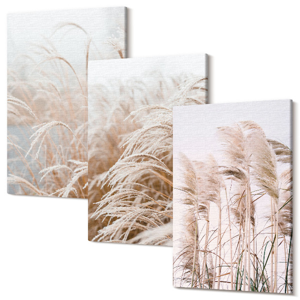 Sada obrazov triptych Polia trávy v jemných odtieňoch hnedej a béžovej