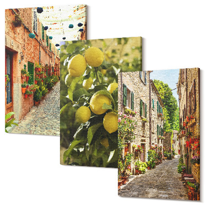 Sada obrazov triptych Očarujúce uličky s kvetmi a citrónmi v pozadí