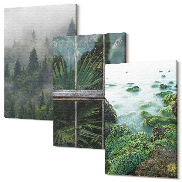 Sada 3 obrazov Les v hmle, breh rieky a skleník s rastlinami