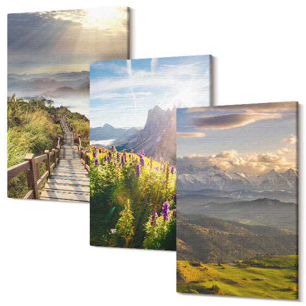 Sada obrazov na stenu triptych Horské krajiny s kvetmi, oblohou a cestou