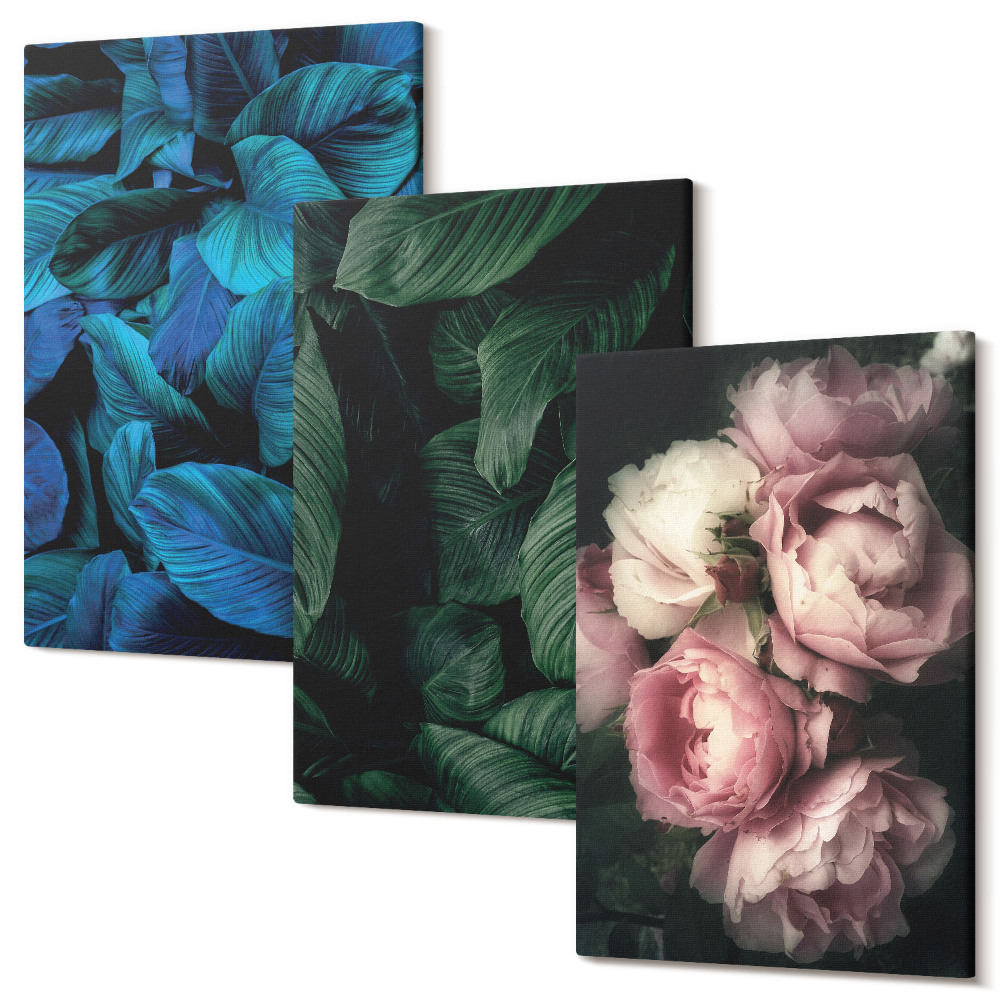 Sada 3 obrazov Listy a kvety v rôznych farbách