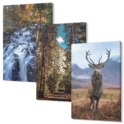 Sada 3 obrazov Vodopád v lese, hory a jelene v prírode