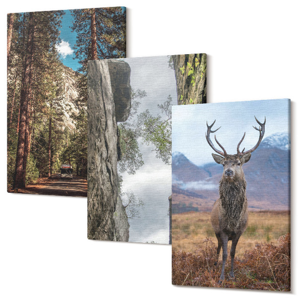 Sada obrazov triptych Cesta v lese, hory a srnky v prírode