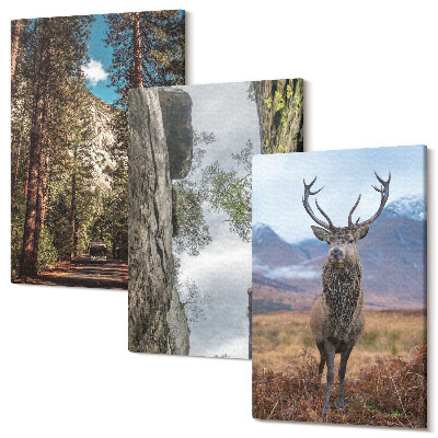 Sada obrazov triptych Cesta v lese, hory a srnky v prírode