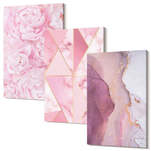 Sada 3 obrazov Ružové kvety pivonky geometrické vzory