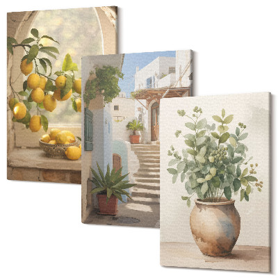 Sada obrazov triptych Citróny vo váze a rastliny v bielej architektúre