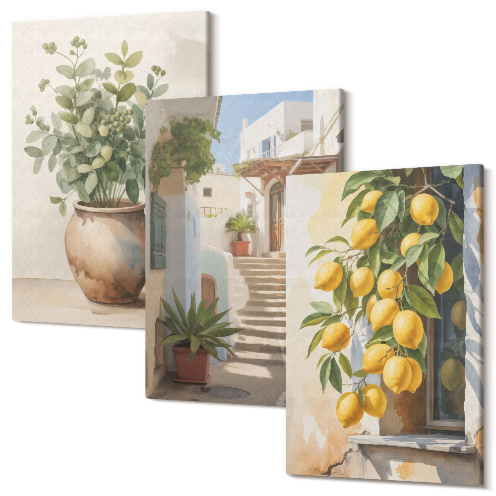 Sada obrazov triptych Rastliny v kvetináčoch a citróny na pozadí ulice