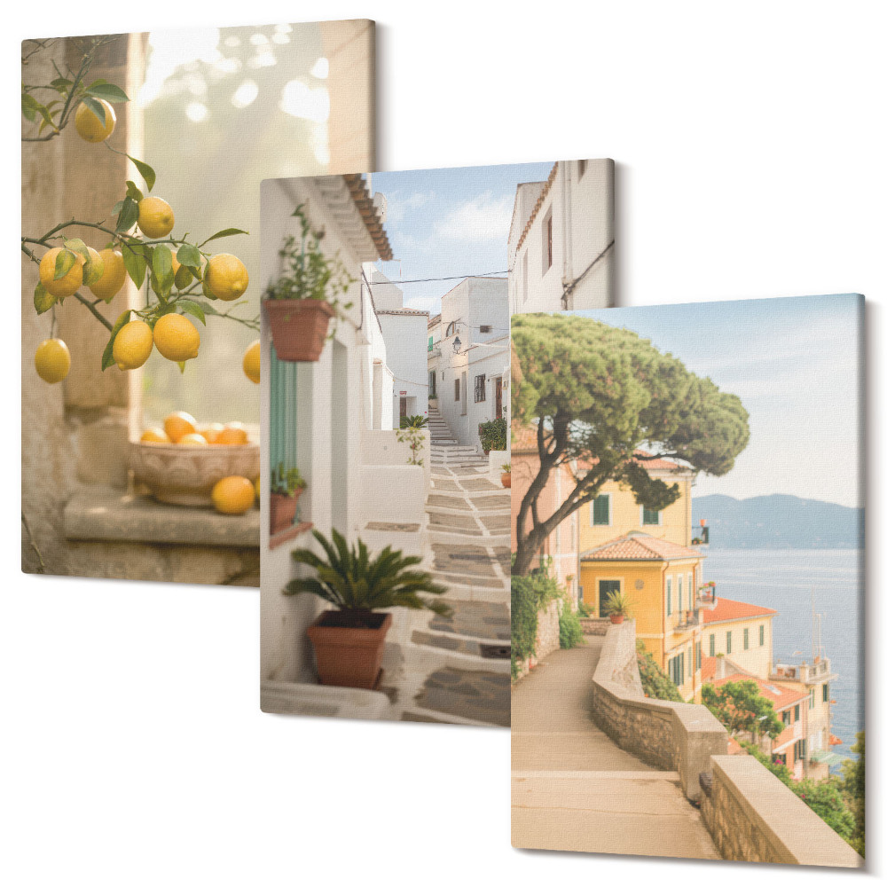 Sada obrazov na stenu triptych Pohľad na citrusové stromy z okna a prímorskú architektúru