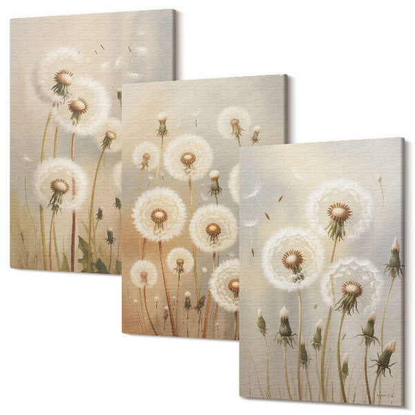 Sada obrazov triptych Biele púpavy na pozadí jasných farieb