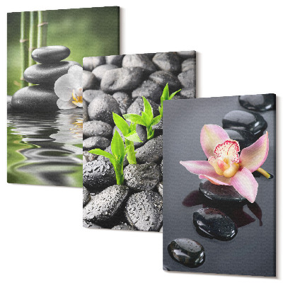 Sada obrazov na stenu triptych Pokojná zenová kompozícia kameňov a kvetov na vode