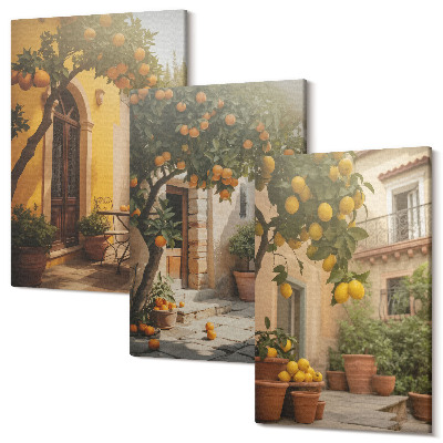 Sada obrazov triptych Slnečná terasa s citrusovými stromami a kvetináčmi