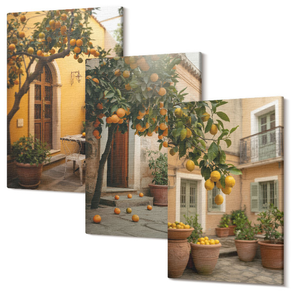 Sada obrazov na stenu triptych Záhrada s citrusovými stromami v slnečnom prostredí