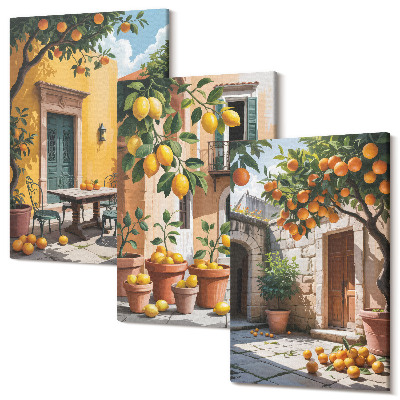 Sada 3 obrazov Citrusové plody v slnečnom prostredí záhrady