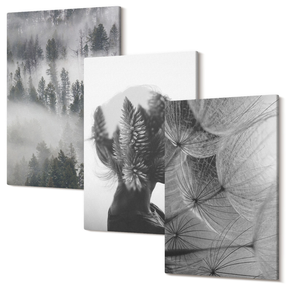 Sada obrazov triptych Portrét les v hmle so stromami jemná púpava