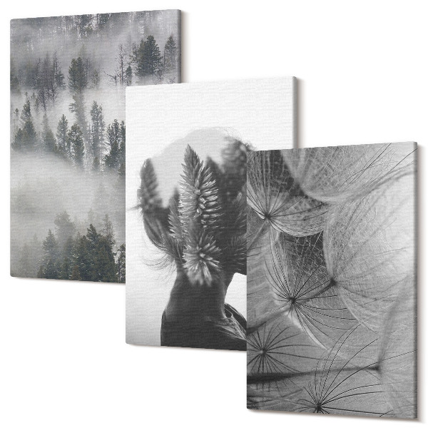 Sada obrazov triptych Portrét les v hmle so stromami jemná púpava