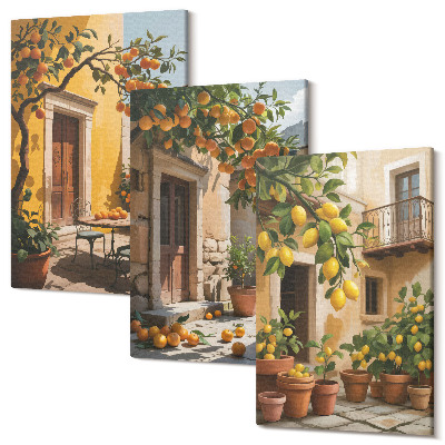 Sada obrazov na stenu triptych Citrusové plody na slnečnom dvore s rastlinami