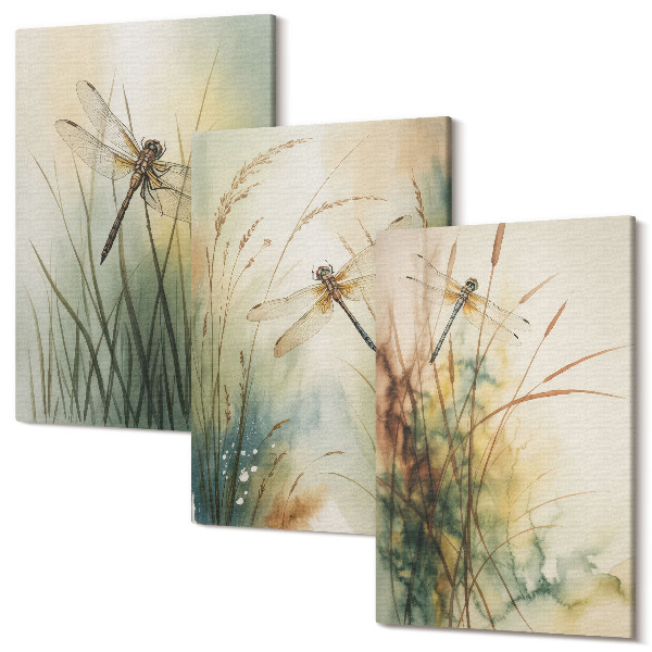 Sada 3 obrazov Maľované trávy s vážkami nad vodou