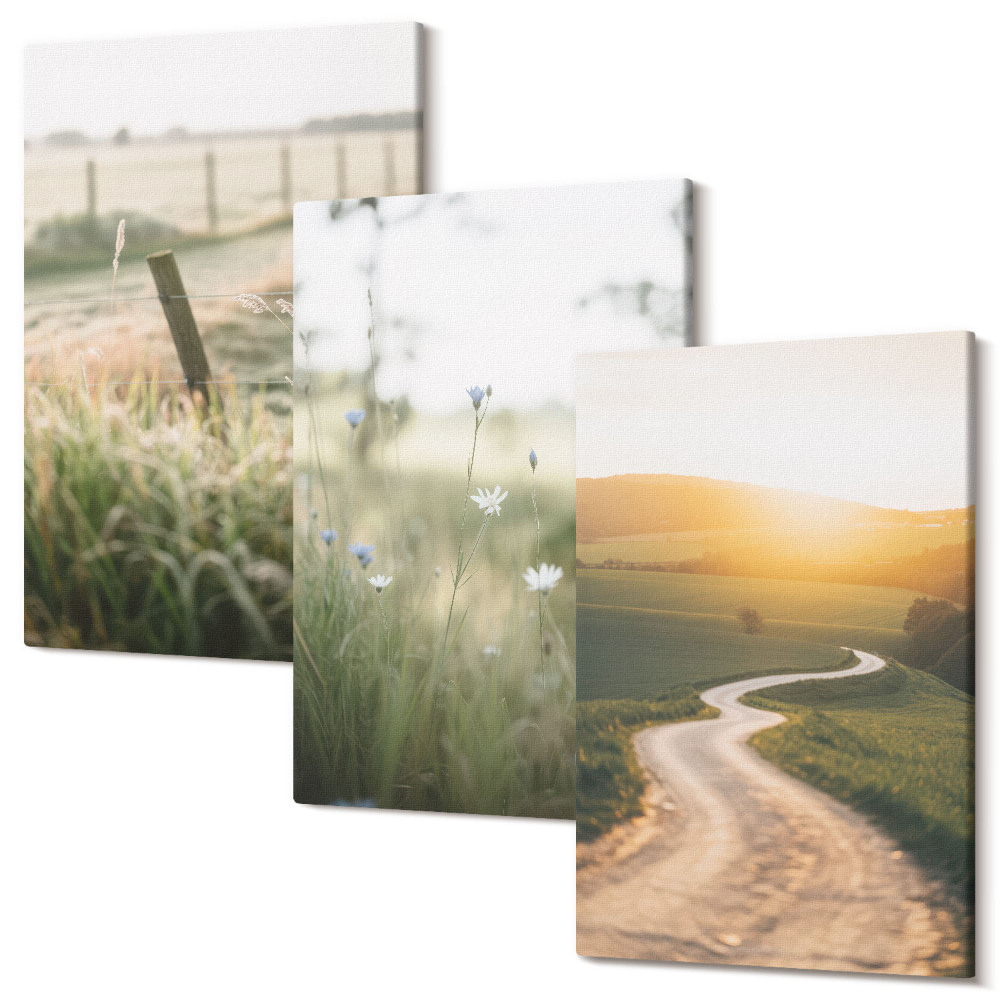 Sada obrazov na stenu triptych Krajina s lúkou, cestou a západom slnka