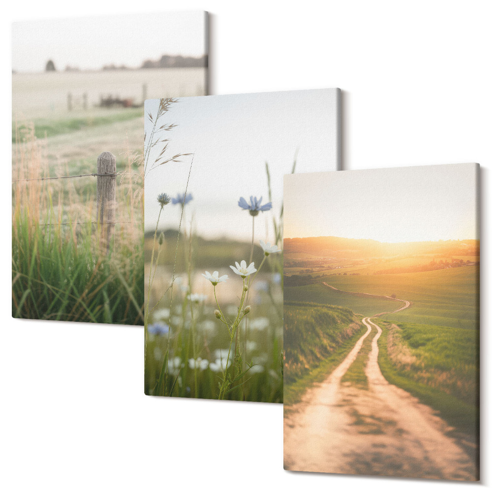 Sada 3 obrazov Prírodné krajiny s poliami a cestou na slnku