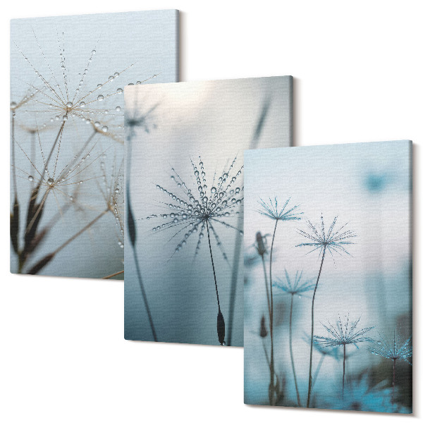 Sada obrazov triptych Jemné púpavy s kvapkami vody