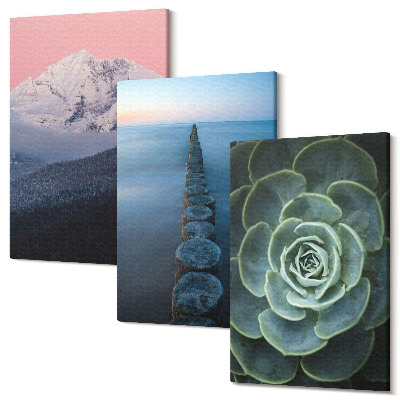 Sada 3 obrazov Hory s ružovou oblohou, vodou a zelenými sukulentmi