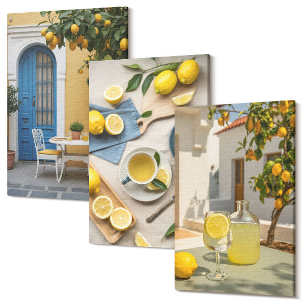 Sada obrazov na stenu triptych Citrónová limonáda modré dvere letný výhľad