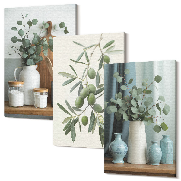 Sada 3 obrazov Estetické zelené olivy a vetvičky eukalyptu
