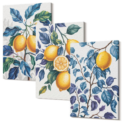 Sada obrazov triptych Citróny na vetvách s modrými listami