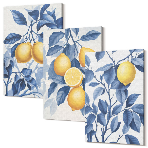 Sada obrazov na stenu triptych Citróny na vetvách s modrými listami