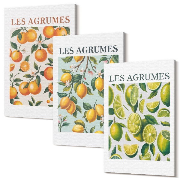 Sada 3 obrazov Ovocné citrusové vzory v pastelových farbách