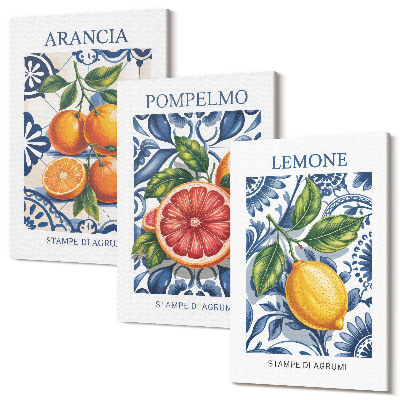 Sada 3 obrazov Módne plagáty z citrusových plodov v talianskom štýle