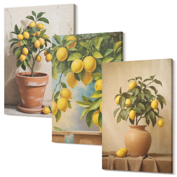 Sada obrazov triptych Citrónové stromy v kvetináčoch a vázach