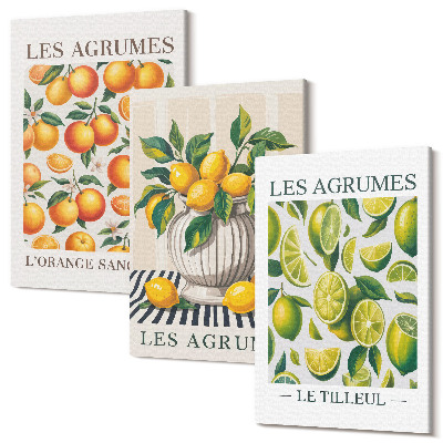 Sada obrazov na stenu triptych Citrusové plody v rôznych farebných a sviežich verziách