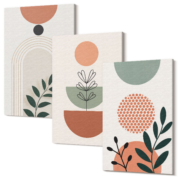 Sada 3 obrazov Rastlinné motívy v moderných tvaroch a farbách